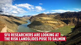 How Simon Fraser University researchers are protecting salmon from landslides