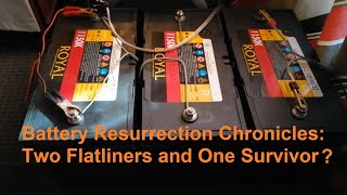 12V Dead Battery Revival – Royals, Rust & Ridiculous Load Tests (Part 5)