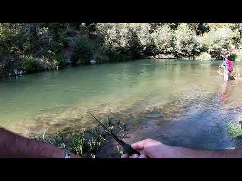 Βίντεο: Πώς να πιάσετε ψάρια στο ποτάμι