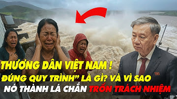 “Đúng Quy Trình” Là Gì? Và Vì Sao Nó Thành Lá Chắn Trốn Trách Nhiệm