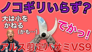 【物欲を刺激する大型モデル】アルス剪定バサミVS-9Zを徹底レビュー。大きなハサミで細枝も余裕をもって切れる実力を紹介します。