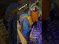 Best bird friends!!