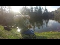 Bluegill on Fairfield Lake