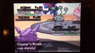 Cloyster 4 on one