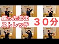 【体が固い人でも出来る】座ったままストレッチ30分!