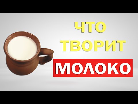 Молоко: польза и вред. Что будет, если пить каждый день?