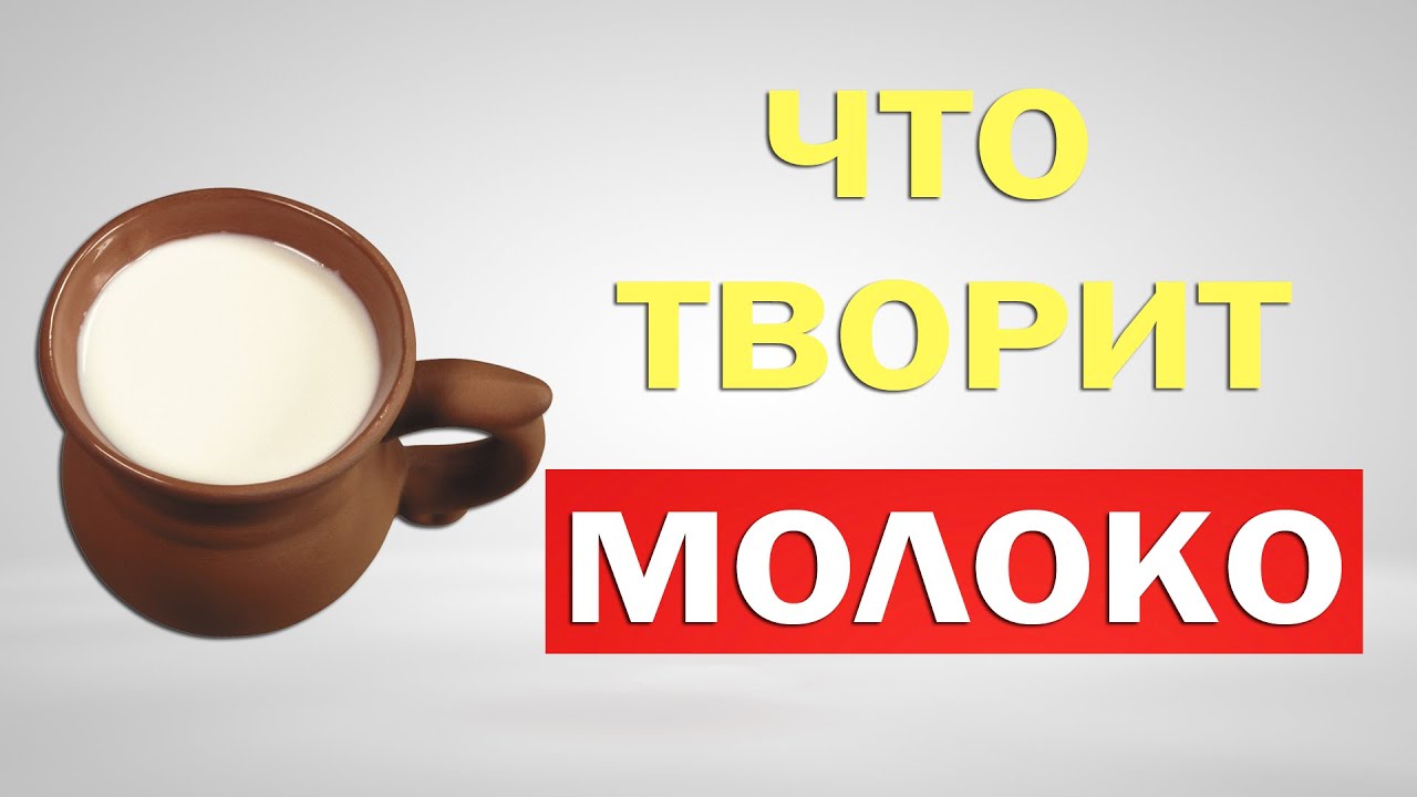 Молоко: польза и вред. Что будет, если пить каждый день?