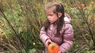 A visit to the Pumpkin Patch