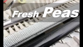 The Ingenious Machines Behind Pea Shelling