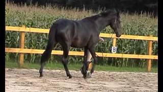 20100911 10 09 12 00 06 2