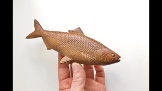 carving a fish sculpture out of walnut.