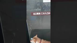 スーパーオークワに入りたい犬…