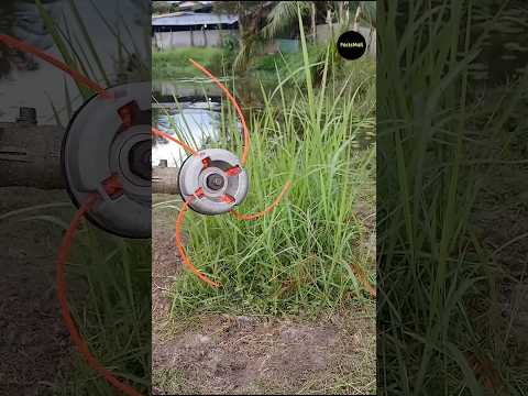 Why Is Lawn Grass Trimming With A String #shorts #ytshorts