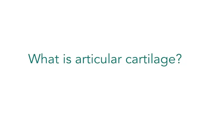 What is articular cartilage? | GelrinC Implant | SAGE Study