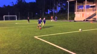 IMG 4954