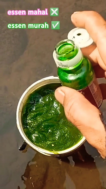 ESSEN TERGACOR MURAH #tilapiafishing #fishing