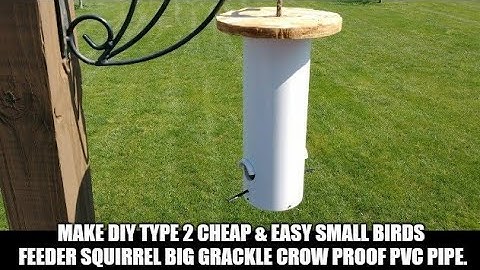 Make DIY Type 2 Cheap & Easy Small Birds Feeder Squirrel Big Grackle Crow Proof PVC Pipe & Wood Top