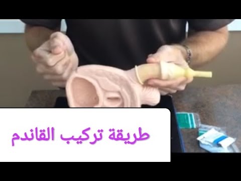 قسطرة صرف البول للحيوانات الأليفة للرجال المنوية للقطط والكلاب والخنازير Buy Veterinary Transfer Semen Urine Drainage Catheter Veterinary Urine Drainage Catheter Veterinary Transfer Semen Catheter Product On Alibaba Com