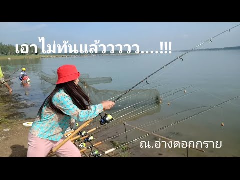 ตกปลาอ่างดอกกราย.วัดแทบไม่ทัน..EP...21