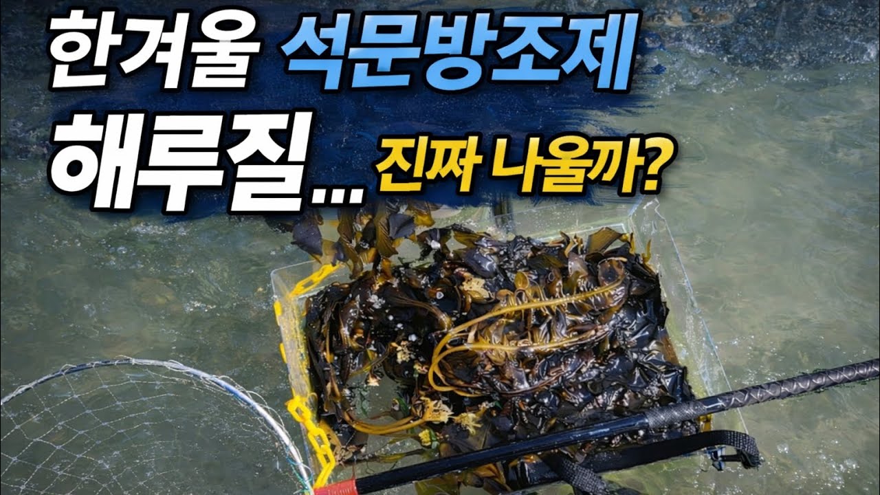 한겨울 석문방조제 해루질… 수온이 이렇게 낮으면?