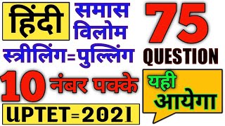 75 प्रश्न का मास्टर वीडियो | हिंदी समास लिंग विलोम शब्द | hindi smas ling vilom tricks | uptet ctet