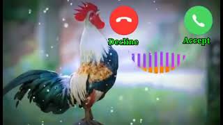Vivo phone message tone. vivo ringtone ||message ringtone ll vivo trending ringtone.(2)
