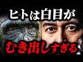 人間の目が、異様に目立つ理由