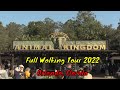 Disneys animal kingdom full tour  orlando florida