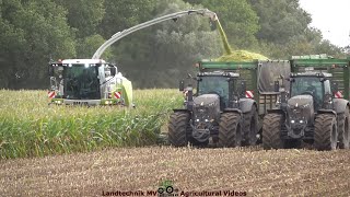 Claas - Fendt - Prinoth / Maissilage - Silaging Maize 2022