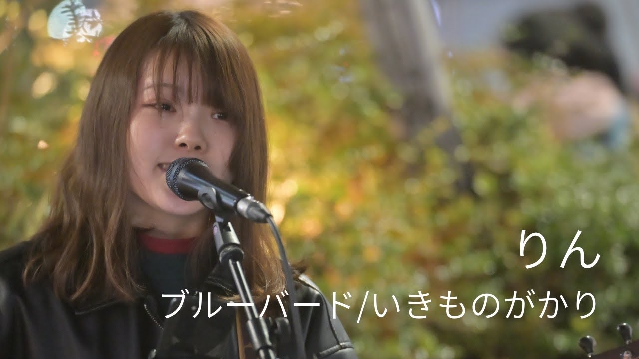 ブルーバード/いきものがかり Covered by りん