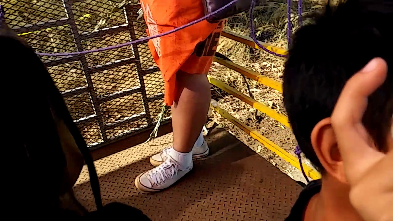 Aloun Farms Pumpkin Patch 16th Annual Festival 10.29.16 FREE Hayreyed YouTube