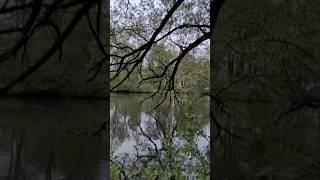 Vahrer See Rundgang | Part 9 ✨🌊 #Bremen Part 9