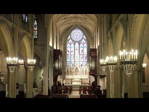 Bach at Noon