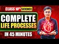 Life Processes in 45 Minutes 🔥 | Class 10th Science | Rapid Revision