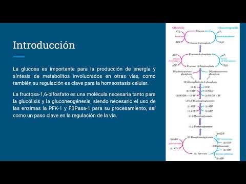 Video: ¿Por qué el citrato inhibe la fosfofructocinasa?