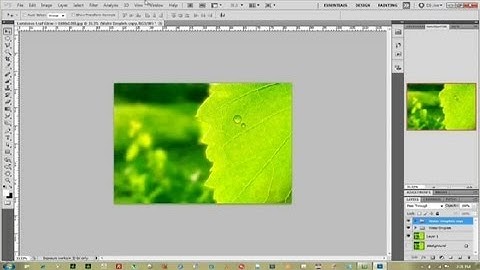 Making Realistic Water Drops in Photoshop : Photoshop Help