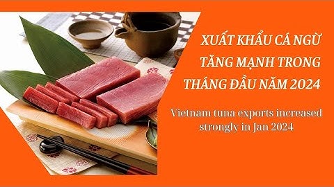 VASEP Highlight - T2/2024 : Cá ngừ