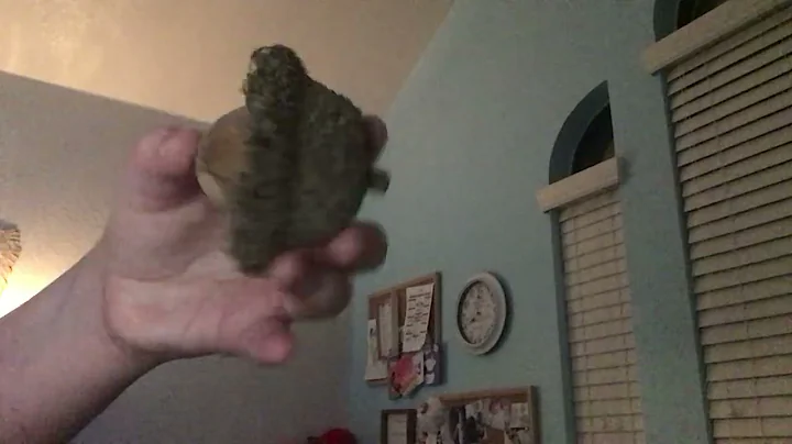 Hope you all have a awesome Thanksgiving❤️🐨🍗 #Reminder￼￼