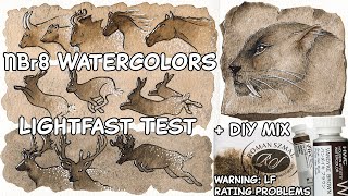 NBr8 Lightfast Test - Vandyke Brown Holbein, ShinHan, Roman Szmal Van Dyck Watercolor Rating Problem