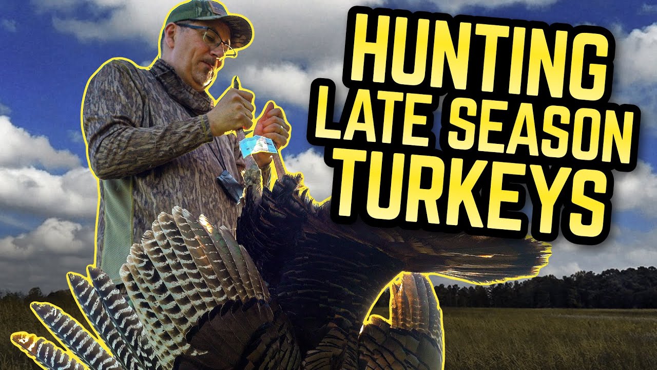 Tips for Hunting Late Season Turkeys Drury Outdoors YouTube