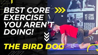 CORE FOUNDATIONS: Master this key exercise - The BIRD DOG!