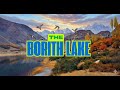 Borith Lake Hunza | Sanctuary of Migratory Birds &amp; Hidden Gem of Gilgit Baltistan, Pakistan