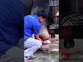 The owner made a new prosthetic limb for the elephant