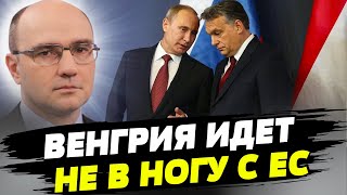Страны ЕС воспринимают с недоумением шантаж Венгрии — Дмитрий Левусь