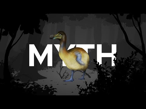 The Dodo is