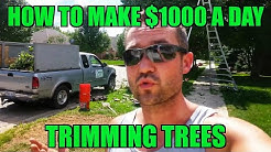 How to Make $1,000 A DAY Landscaping - Trimming Trees - Arborist Ladder