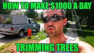 How to Make $1,000 A DAY Landscaping - Trimming Trees - Arborist Ladder