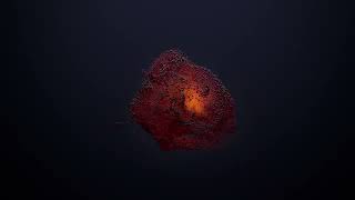 Satisfying Video With Relaxing Deep Sleep Music - Stress Relief & Meditation .Peaceout