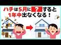 【今が分岐点】6月が来る前にコレしないと、今年も蜂(ハチ)に悩まされます…