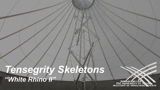 Construction of White Rhino II, Tensegrity Skeletons (2017)